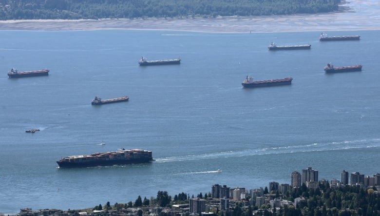 A container ship moves past seven anchored ships. This is taken from an aerial perspective.