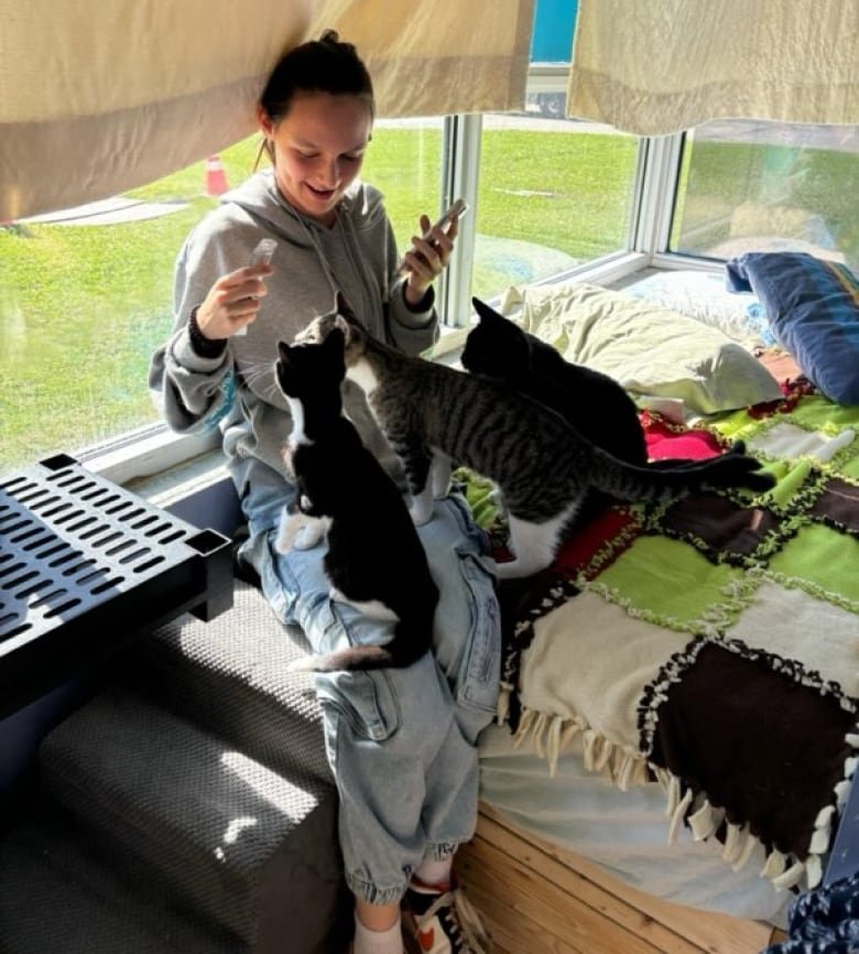 Three cats sit on a girl's lap in a sunroom.